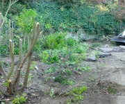 landscape-construction-gallery14