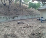 landscape-construction-gallery13